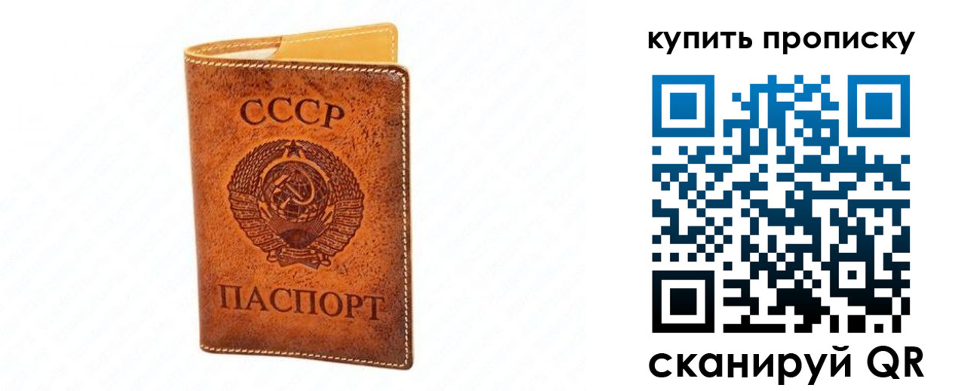 прописка поиск в Сальске