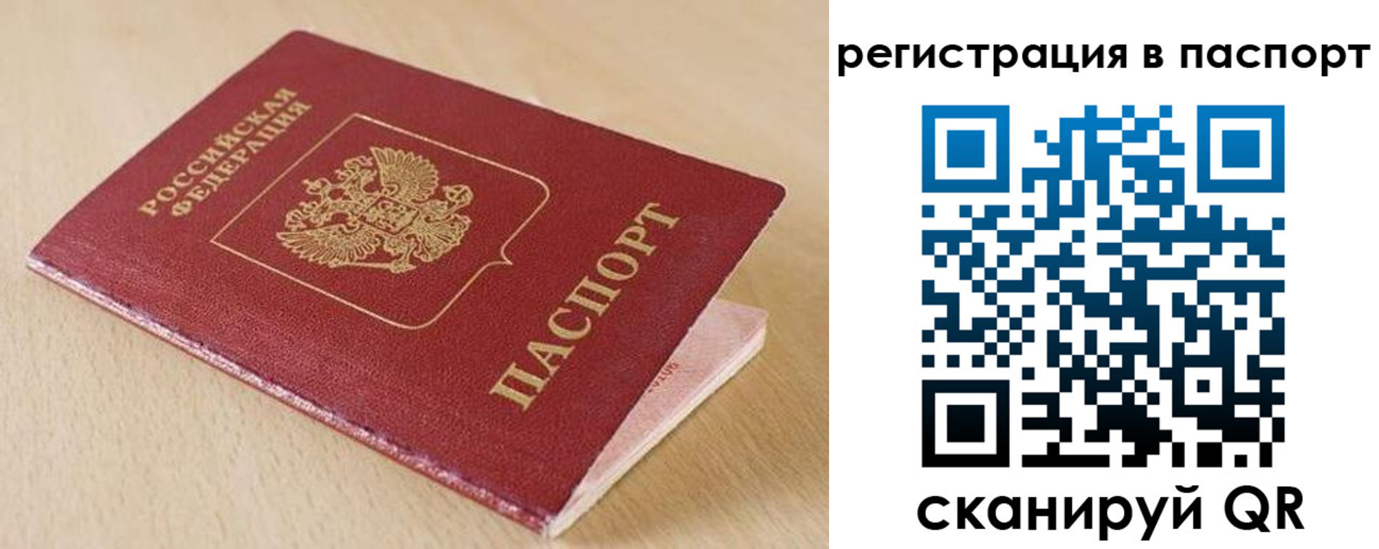 прописка поиск в Сальске