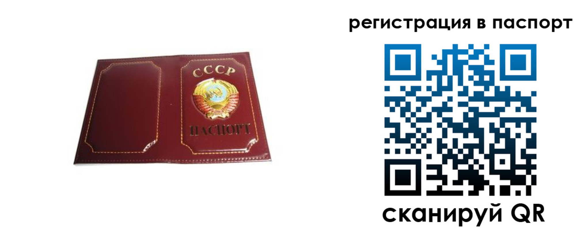 прописка 2025 в Сальске